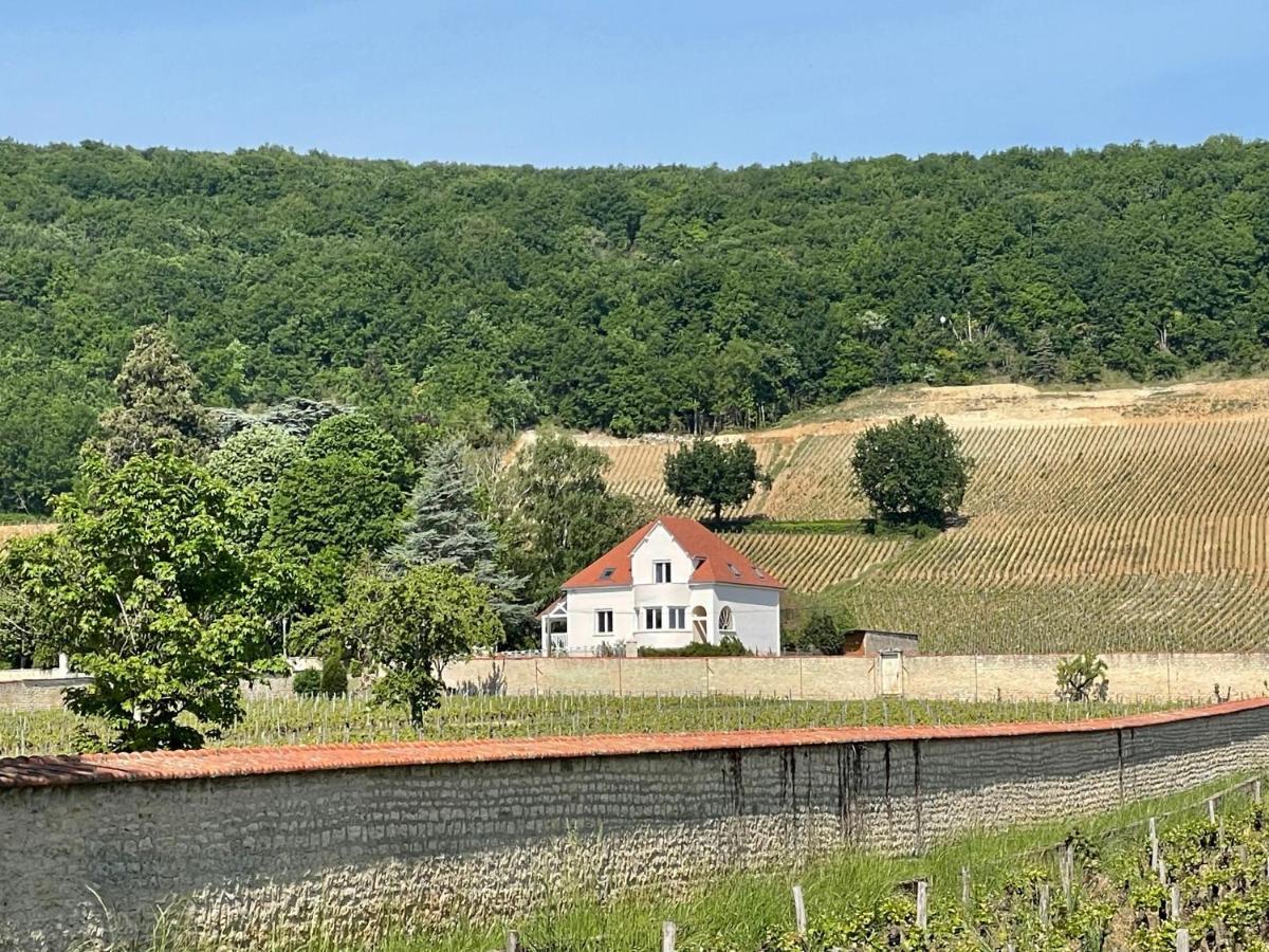 Villa De La Roseraie Rully  Esterno foto
