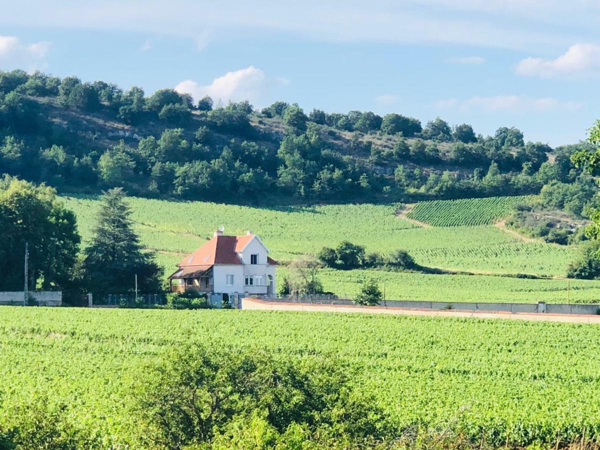 Villa De La Roseraie Rully  Esterno foto